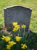 image of grave number 16323